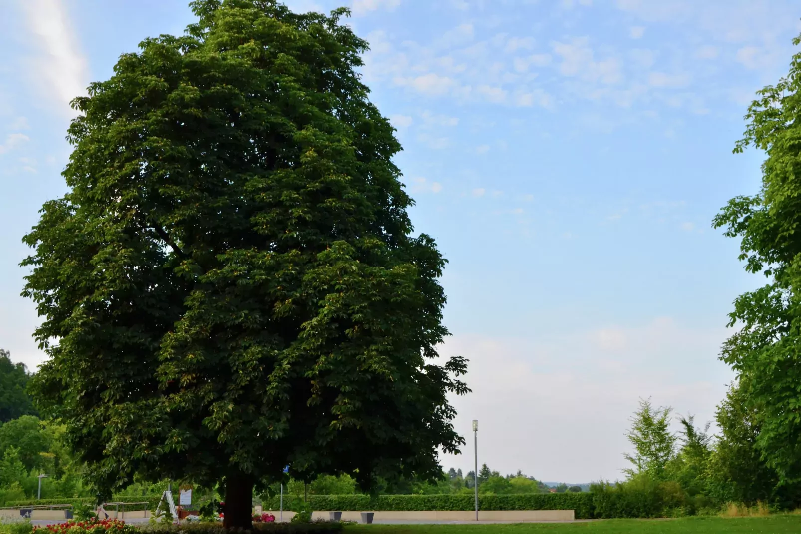 Am Ferienbauernhof - FW 6-Gebieden zomer 20km