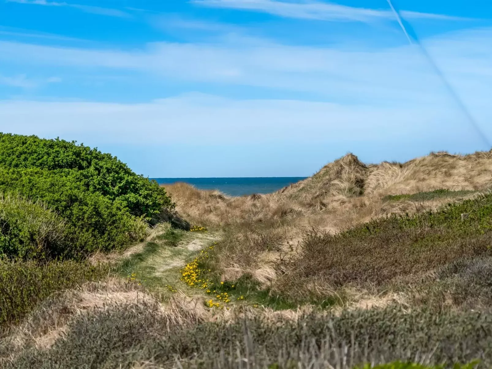 "Erko" - 150m from the sea-Buiten