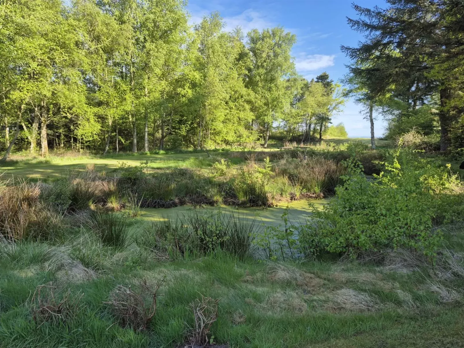 "Aswarth" - 50m to the inlet-Buiten