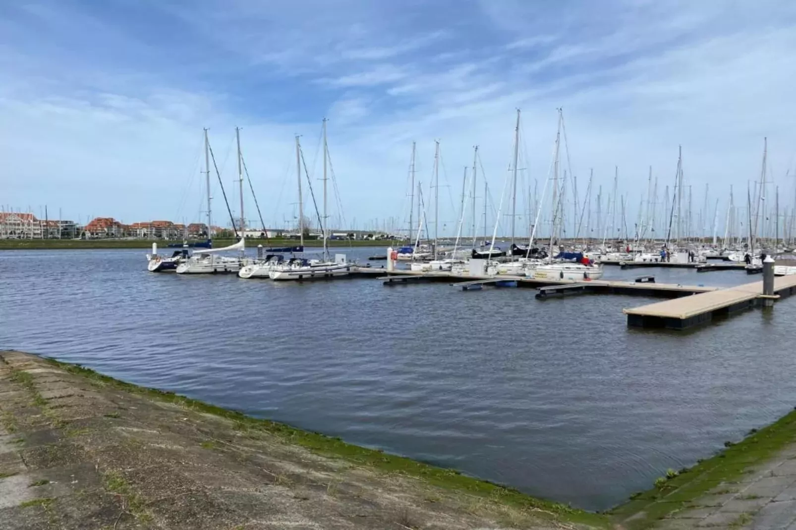 WSP7-Gebieden zomer 20km