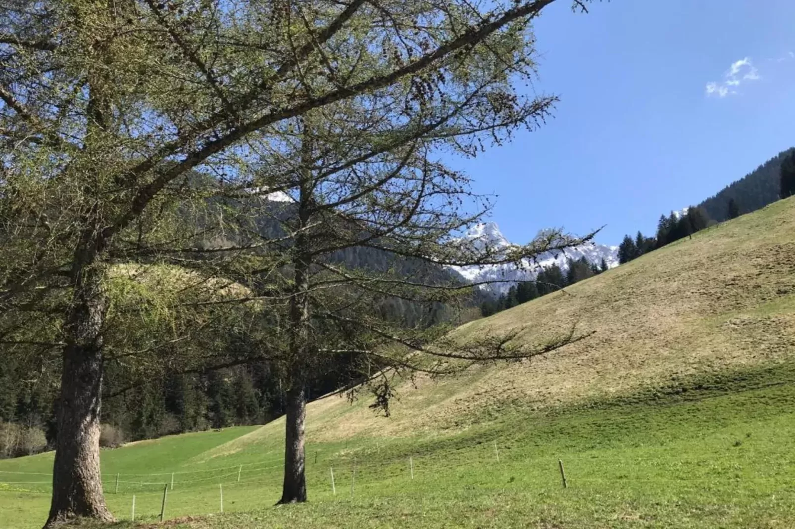 Beautiful Alpine Luxury Flat in Rougemont-Gebieden zomer 20km
