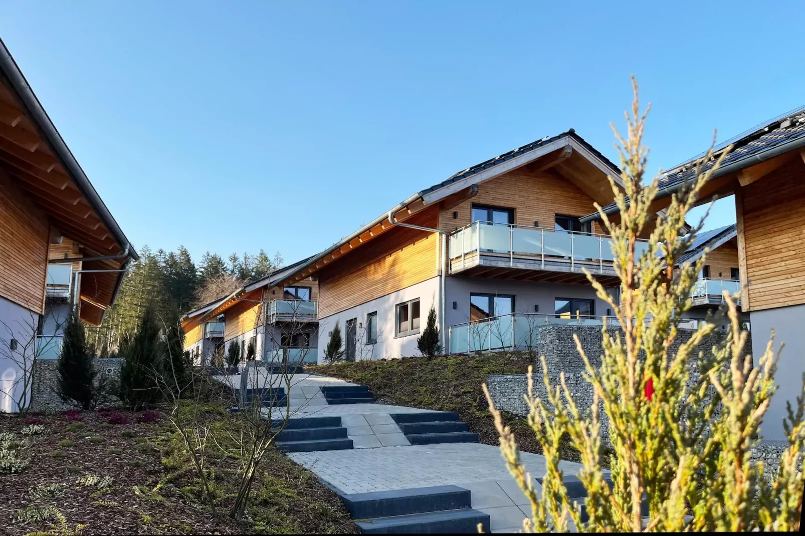 Chalet Hahnenklee-Buitenkant zomer