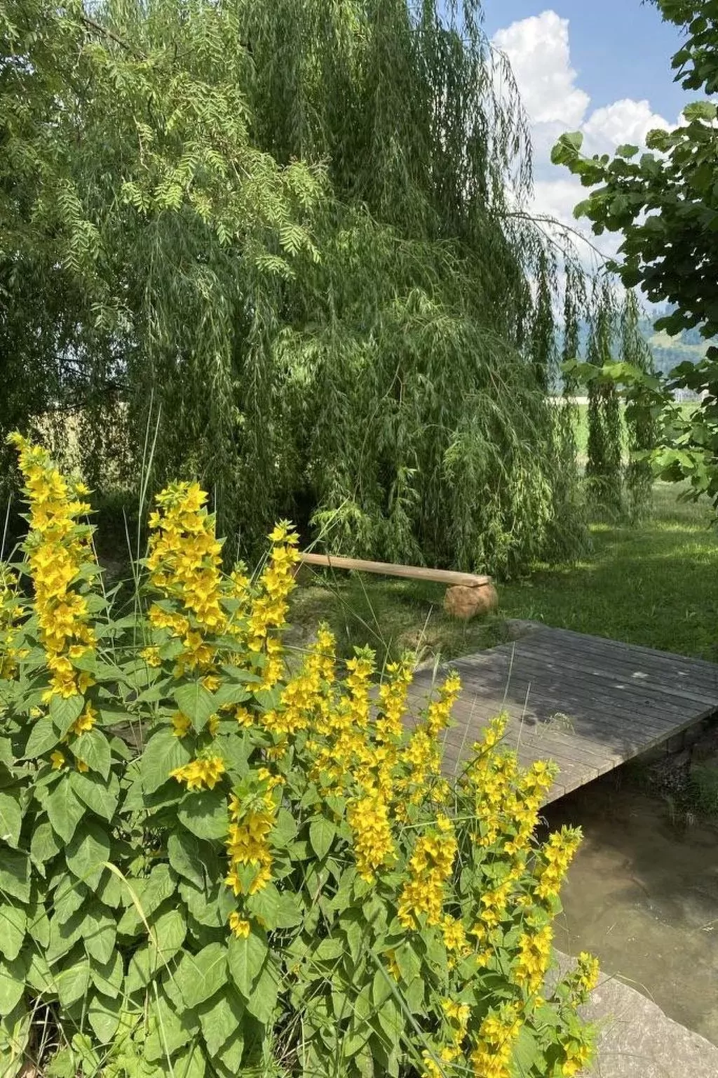 Ferienhaus Oase am Mühlebach-Buiten