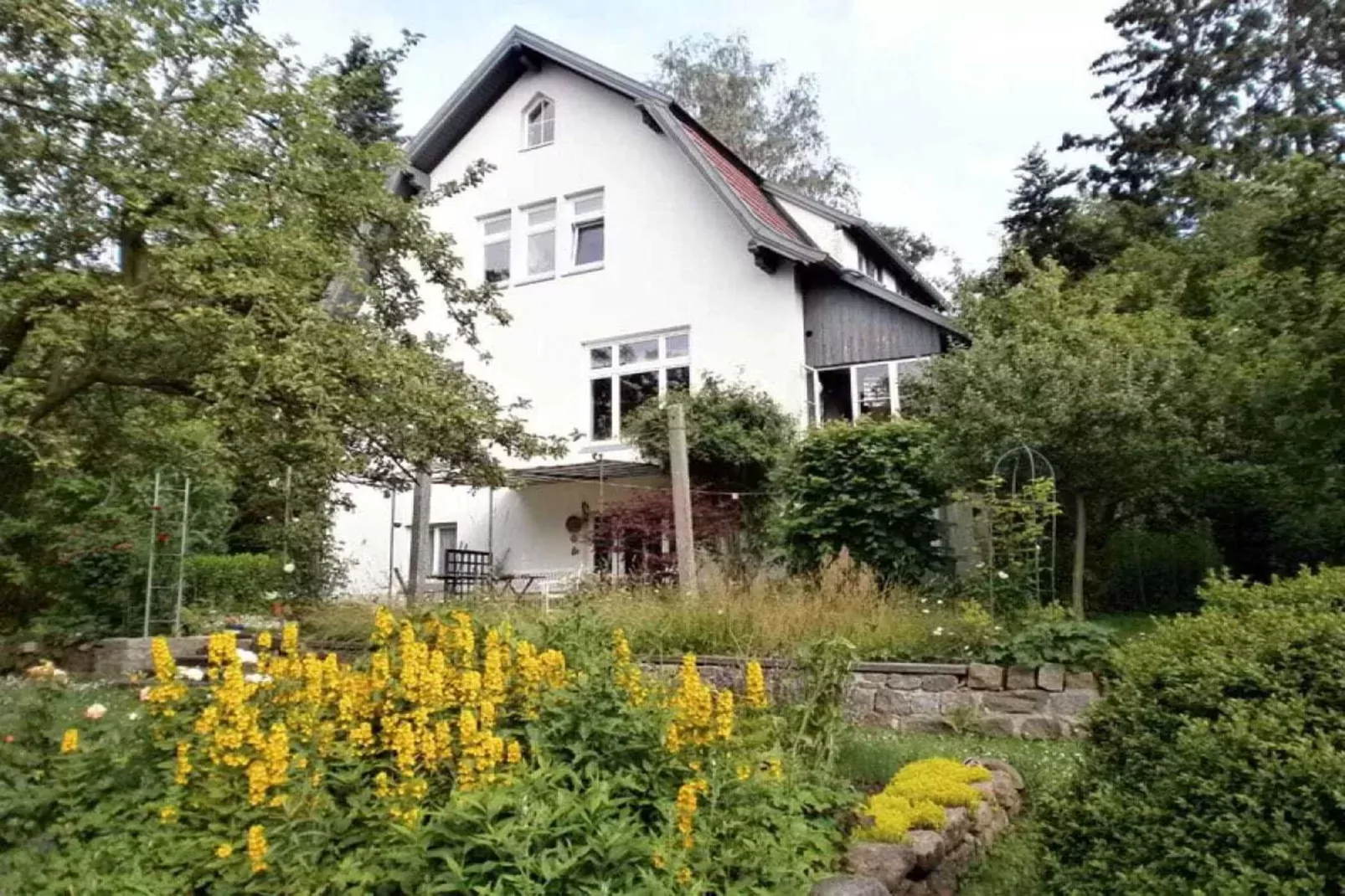 36216-Buitenkant zomer