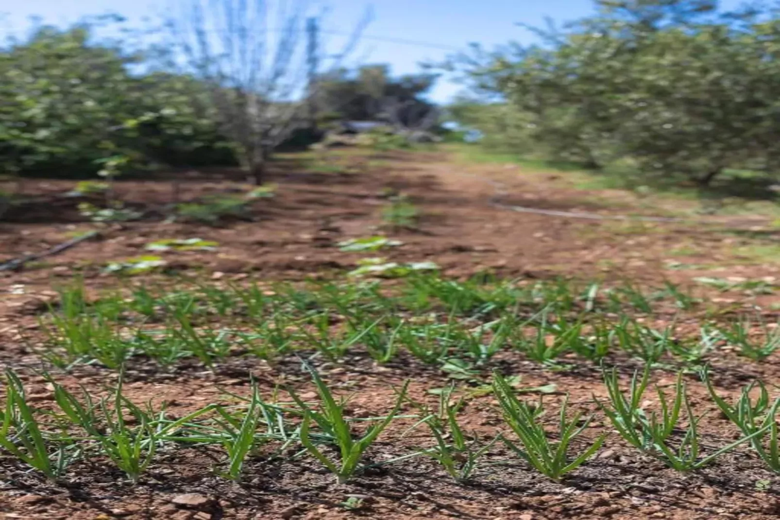 Eveland Accessible Villa 2-Gebieden zomer 20km