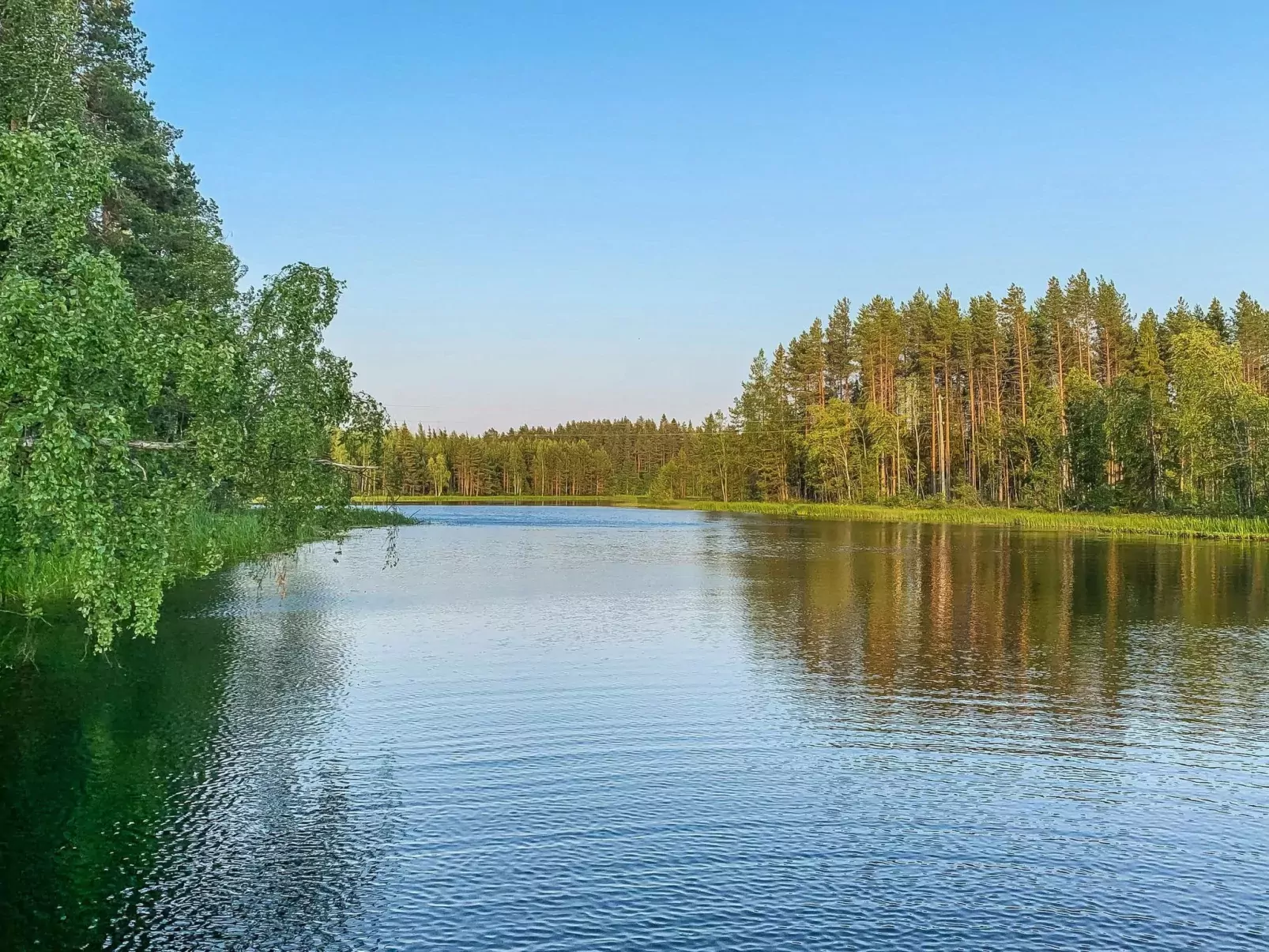 Majavanpesä
