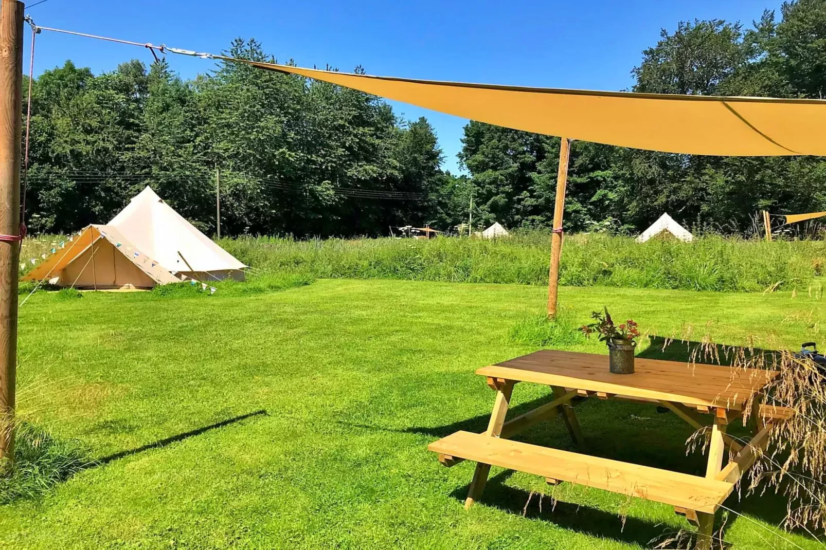 gardensummer