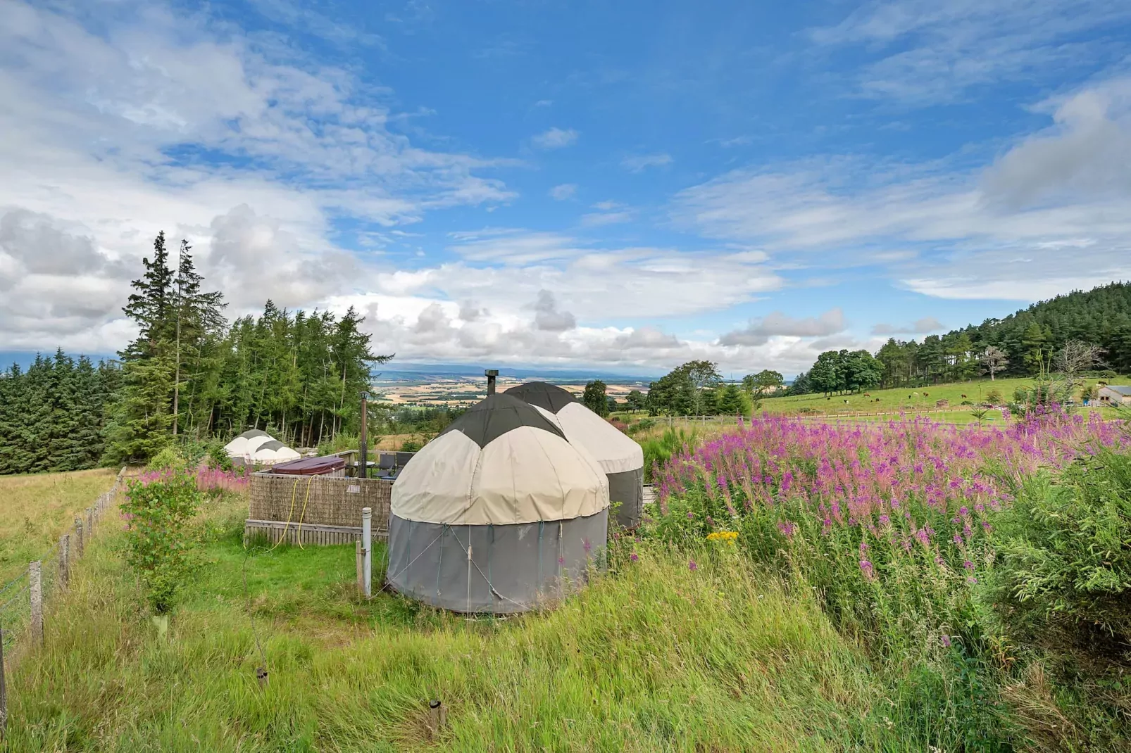 Bramble Yurt