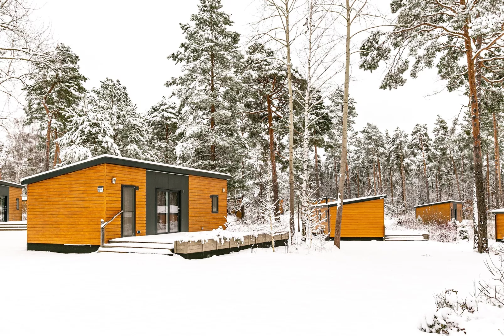 exteriorwinter