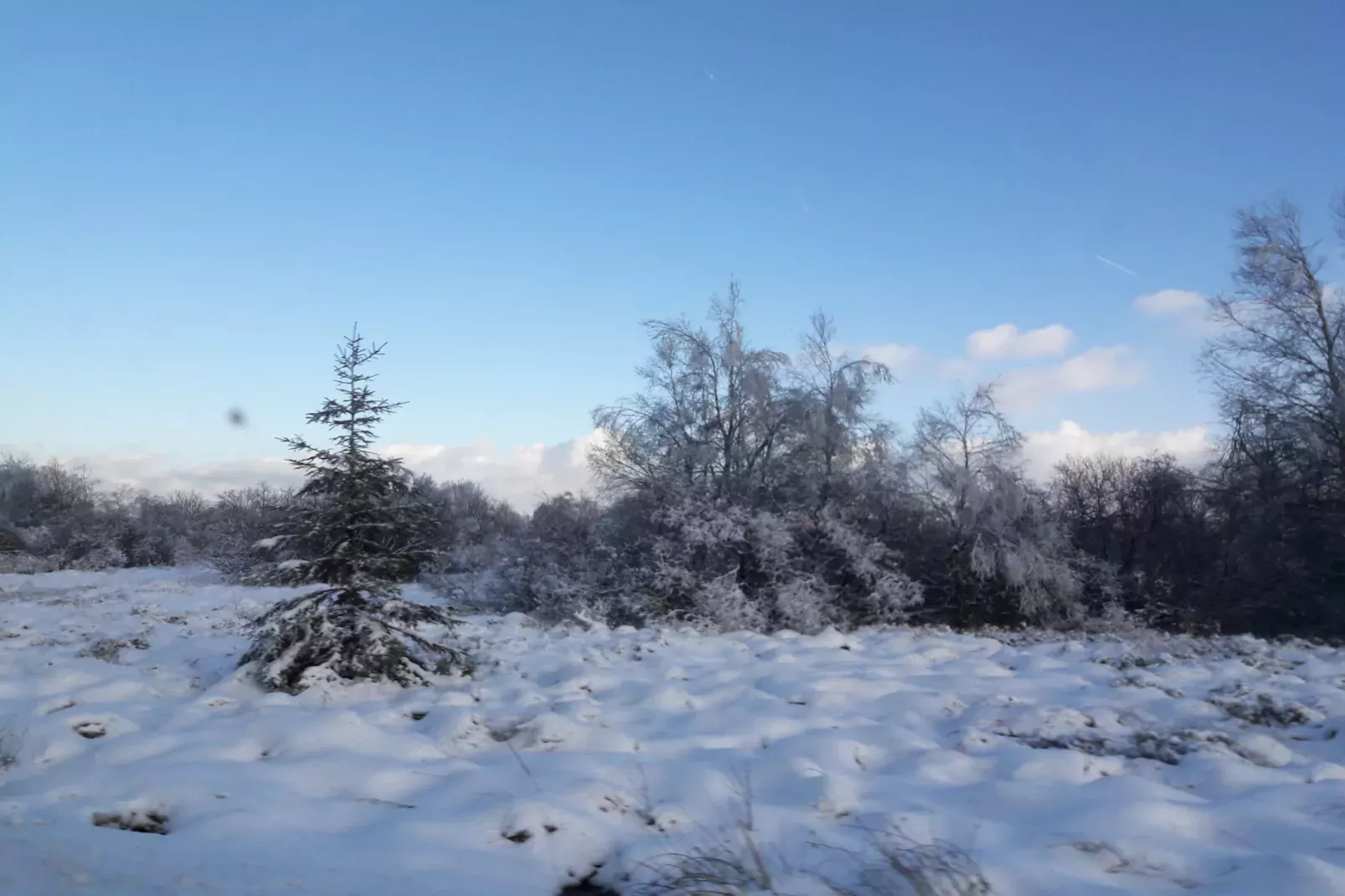 Canneberge-Gebied winter 20km