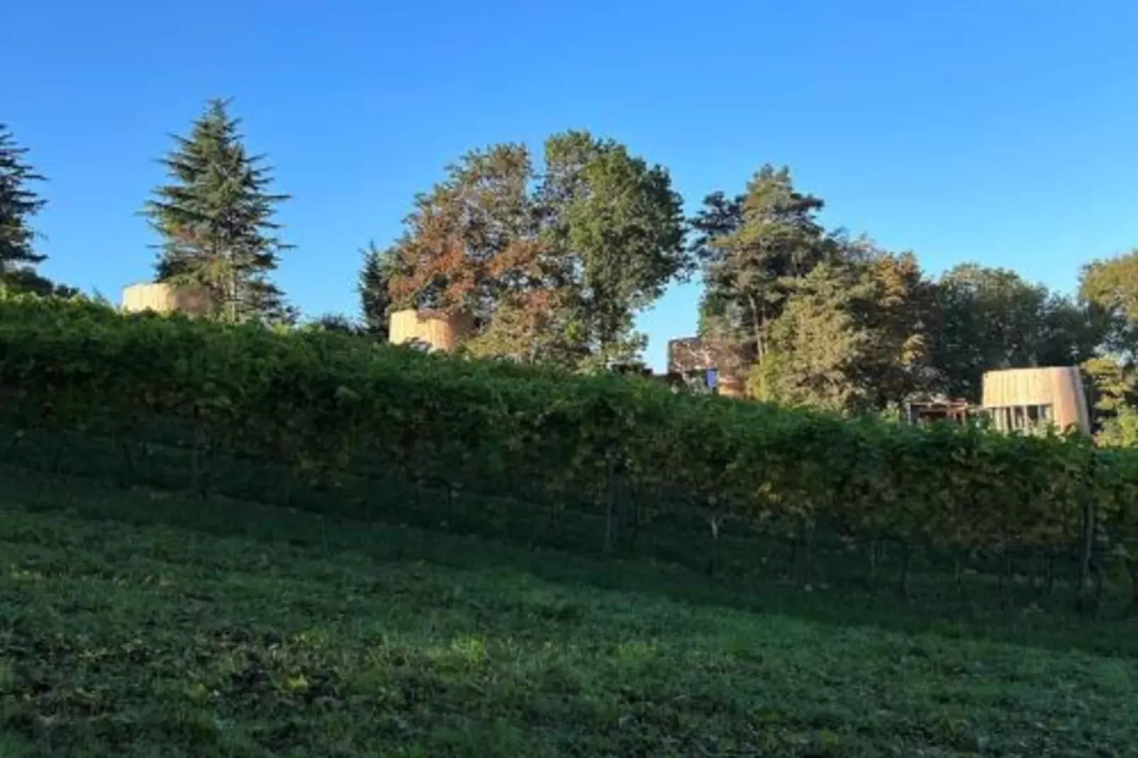 Oneux-Gebieden zomer 20km