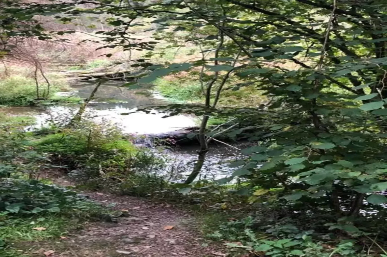 Villa Otium-Gebieden zomer 20km