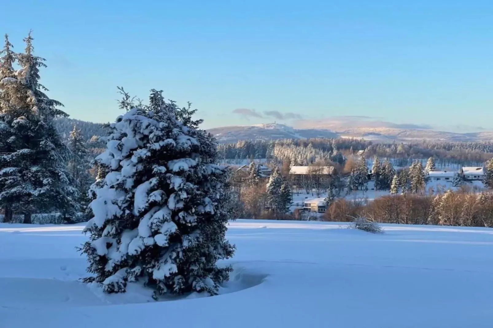 Wildemann-Gebied winter 20km