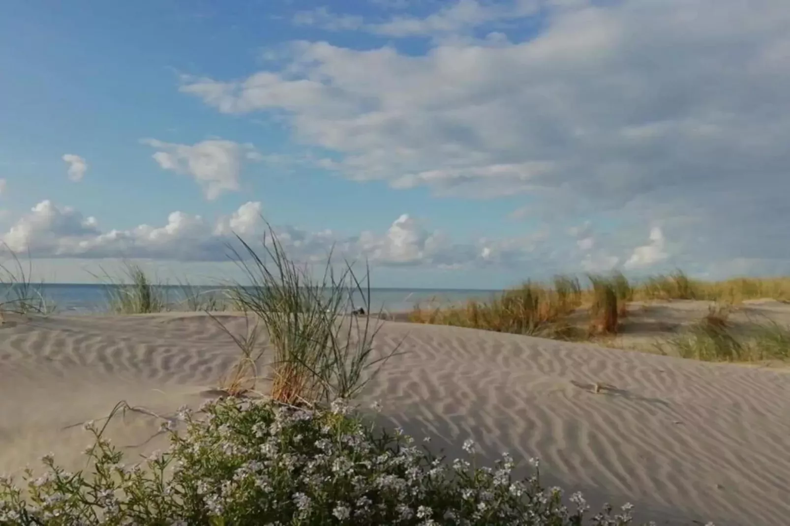 Gîte 10-Gebieden zomer 5km
