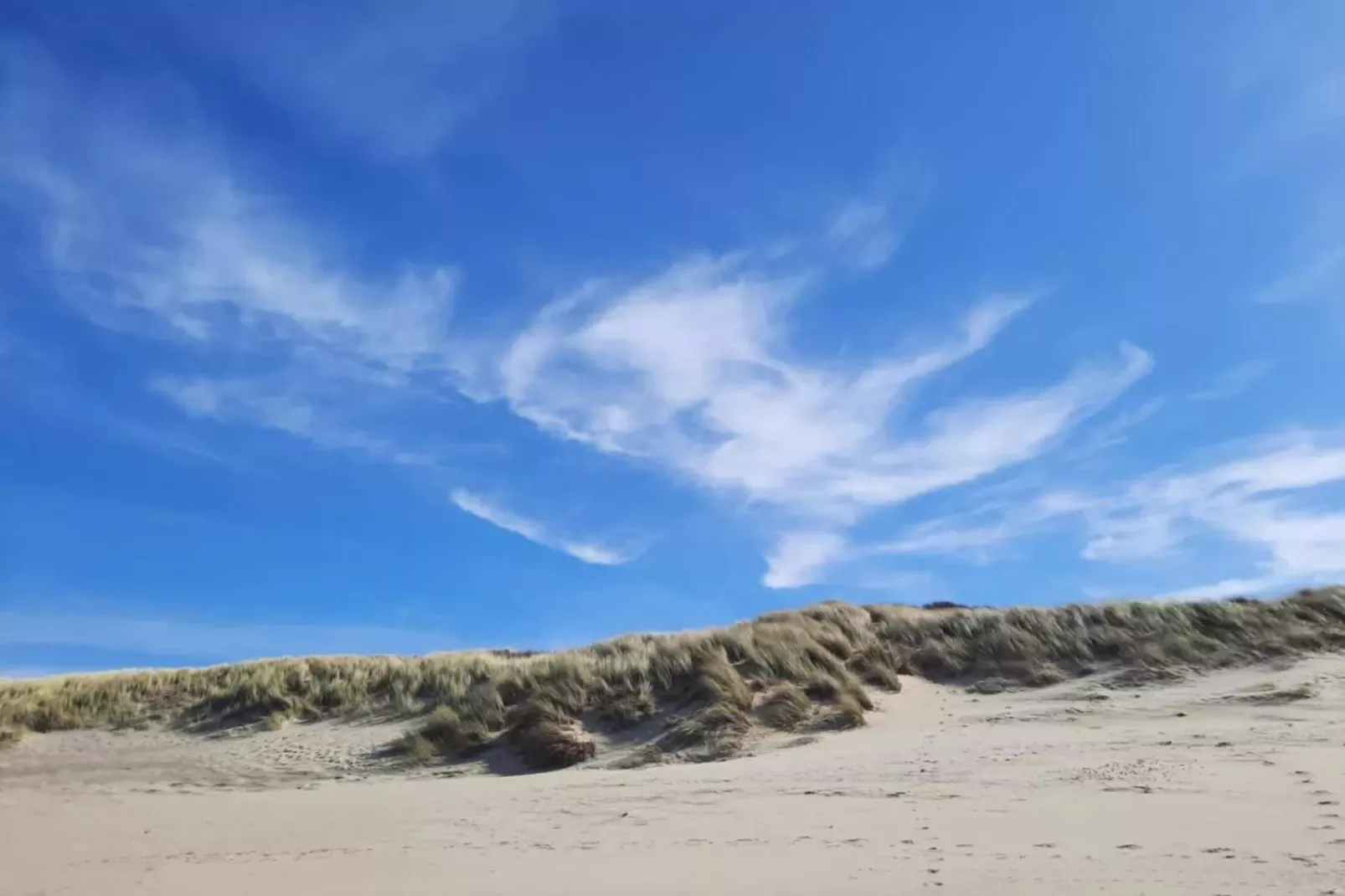 Fort den Haak - Chalet 1 tm 15  hond-Gebieden zomer 5km
