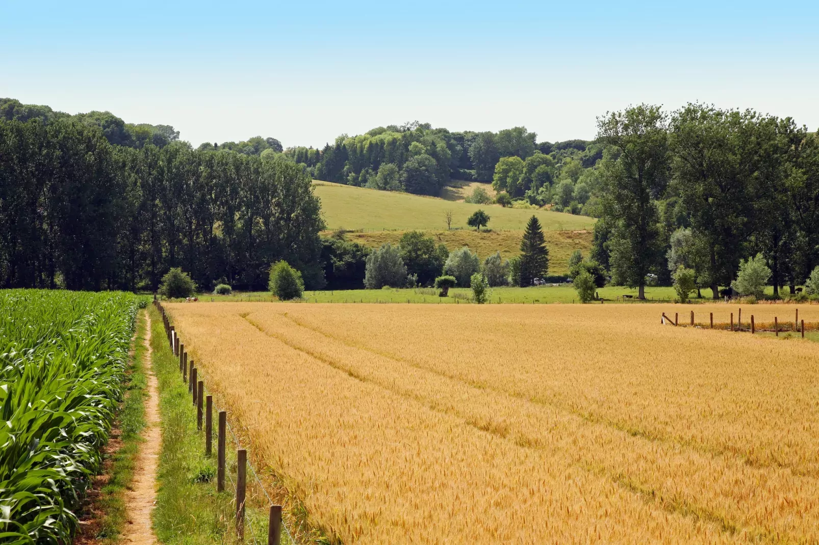 Hoeve in gunne winkel 1-Gebieden zomer 1km
