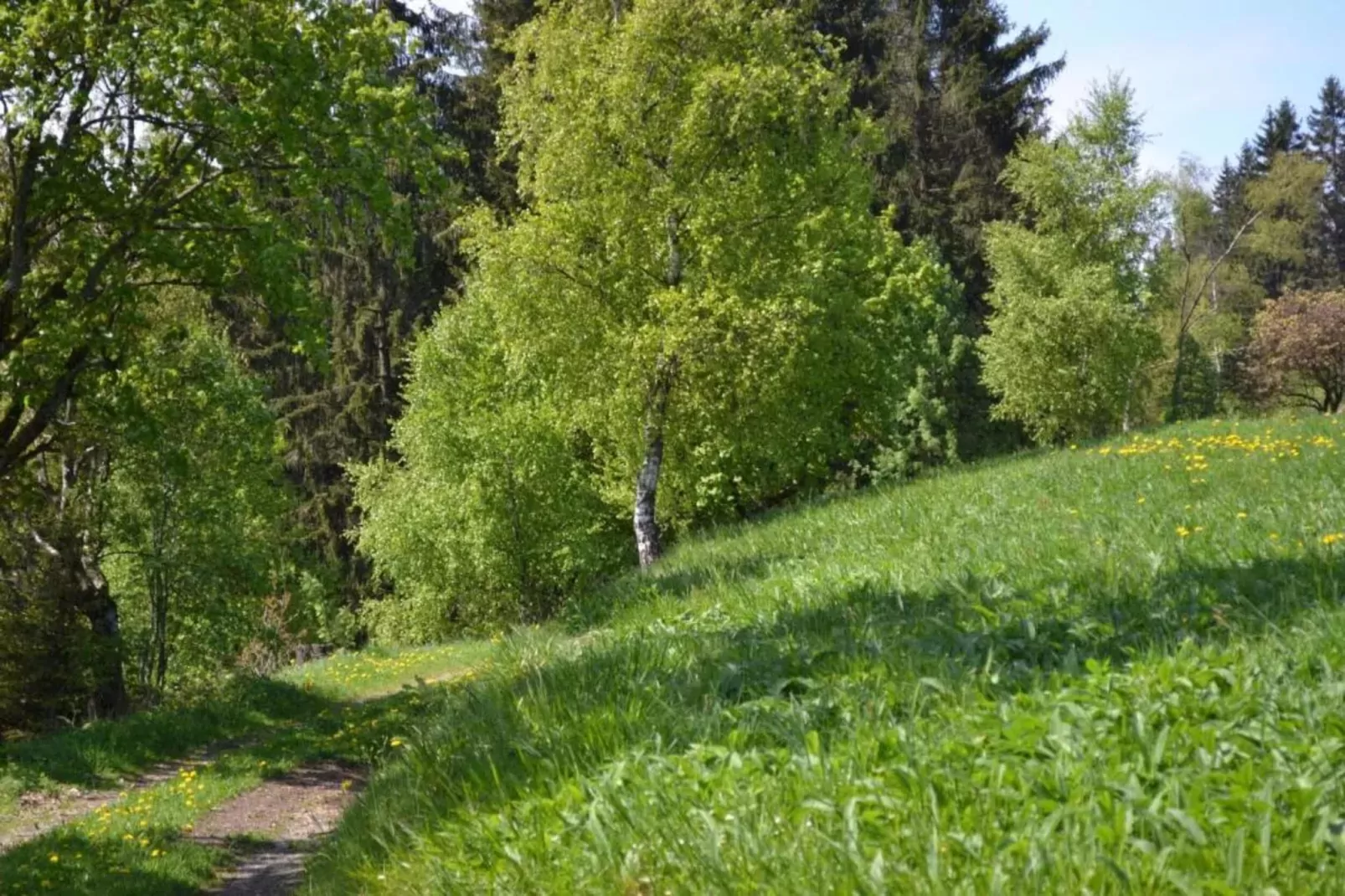Ferienwohnung Veranda in Harz Wildemann-Gebieden zomer 20km