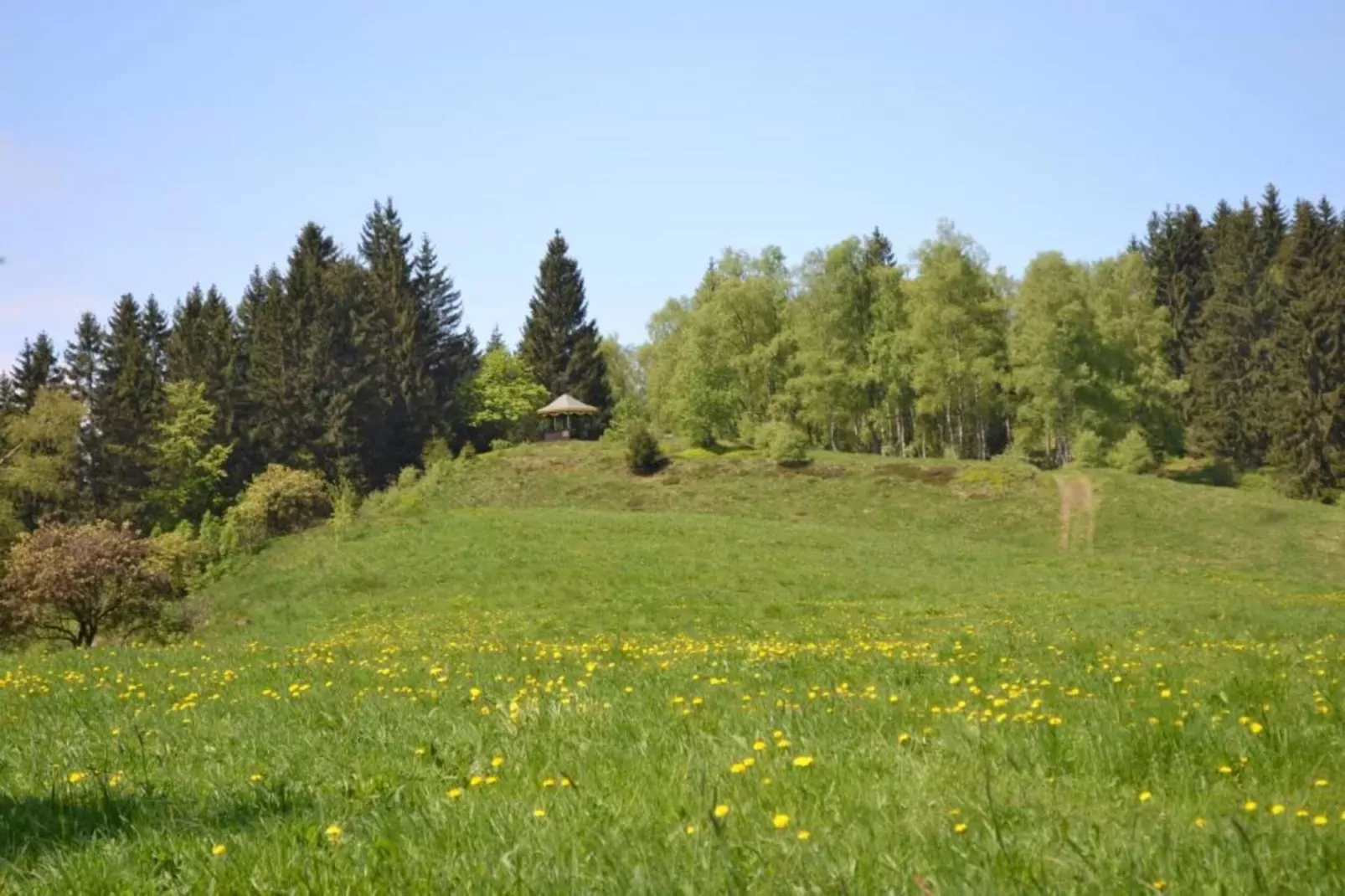 Ferienwohnung Stern - Harz Wildemann-Gebieden zomer 20km