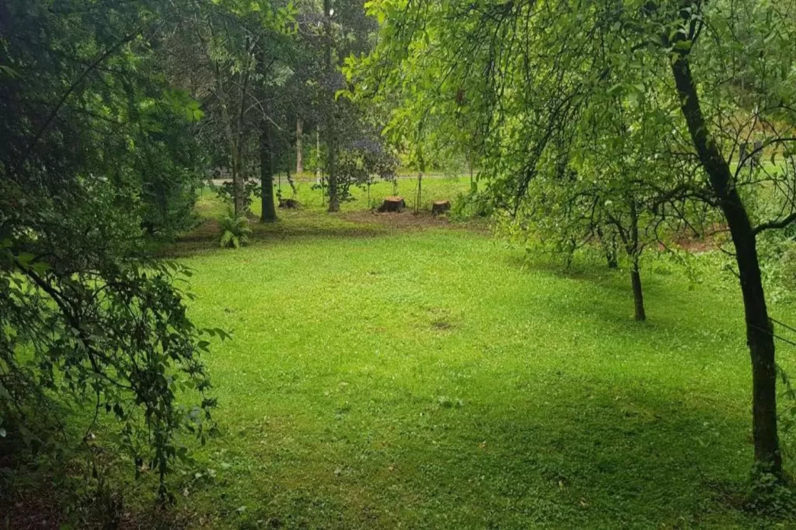 Ferienapartment Romatik in Wildemann Harz-Gebieden zomer 20km