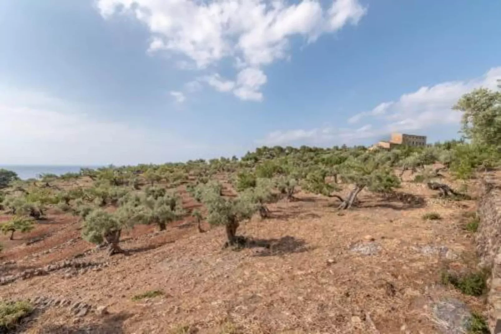 Camping del Mar BUNGALOW MEDITERRANI-Gebieden zomer 20km