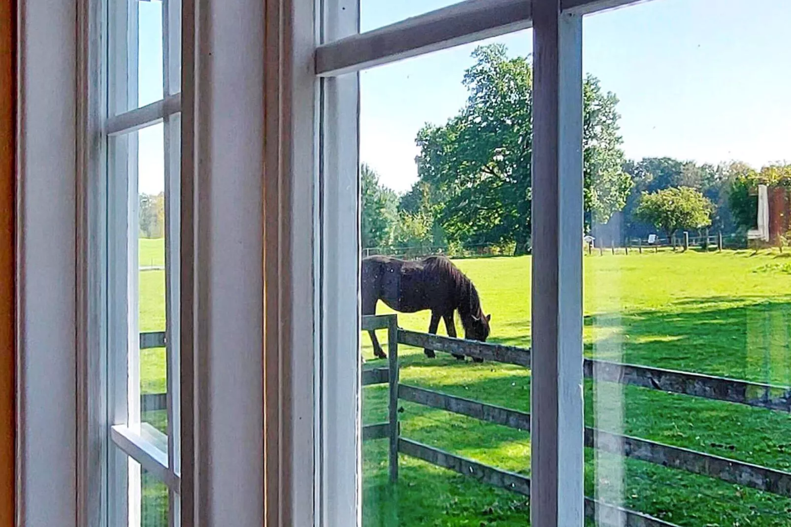 4 persoons vakantie huis in BOLMSÖ - Binnen