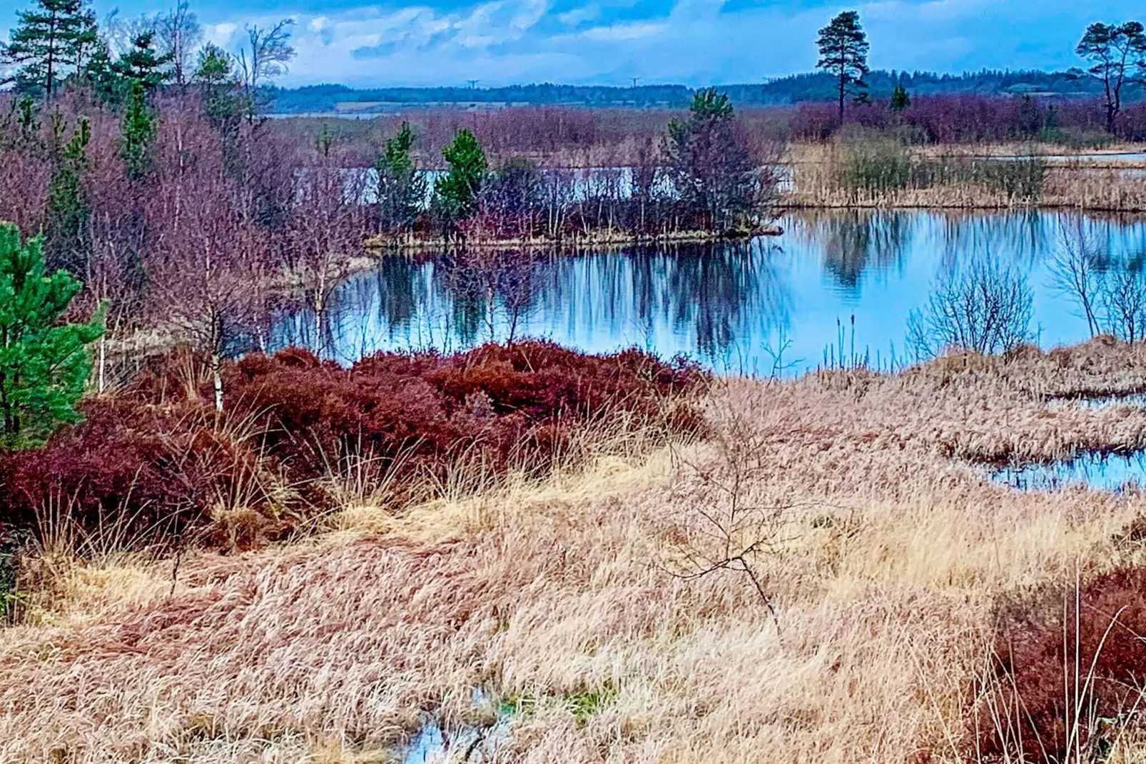 4 sterren vakantie huis in Silkeborg-Buitenlucht