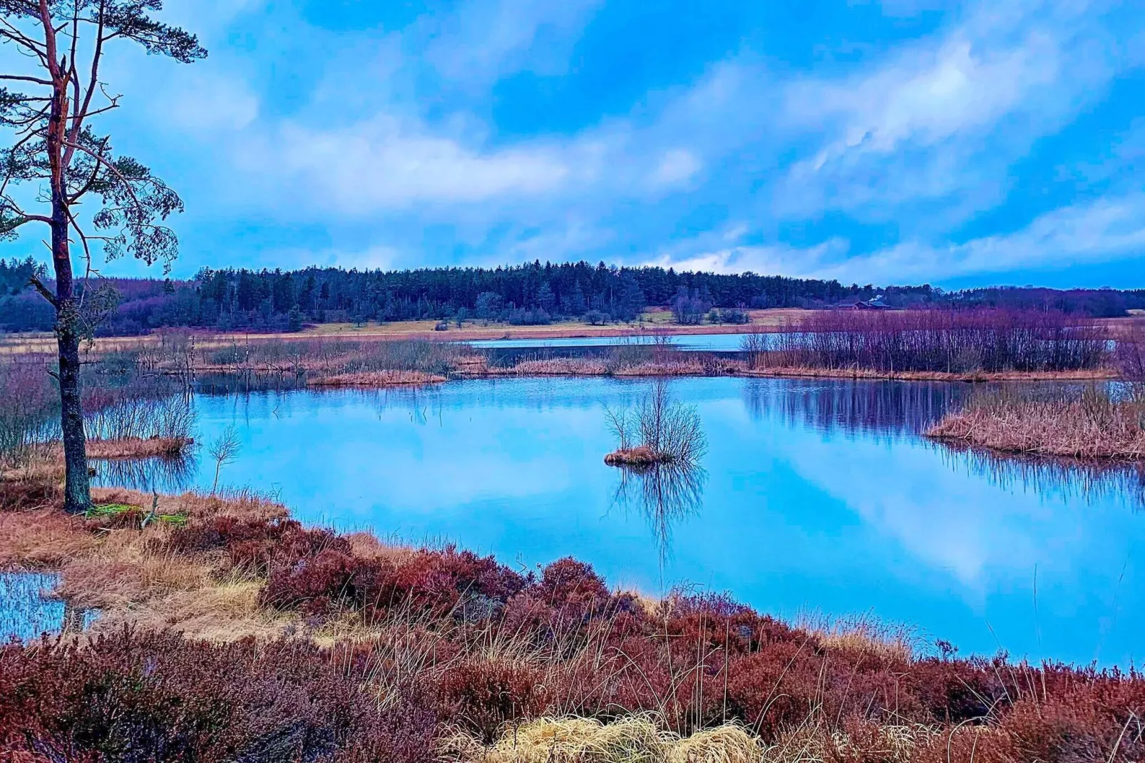 8 persoons vakantie huis in Silkeborg-By Traum-Buitenlucht