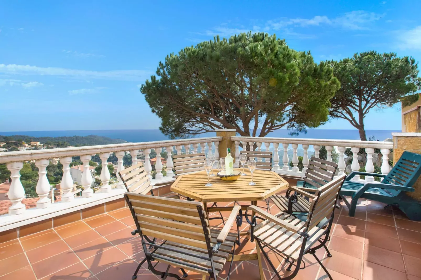 Crisantemo-Terrasbalkon