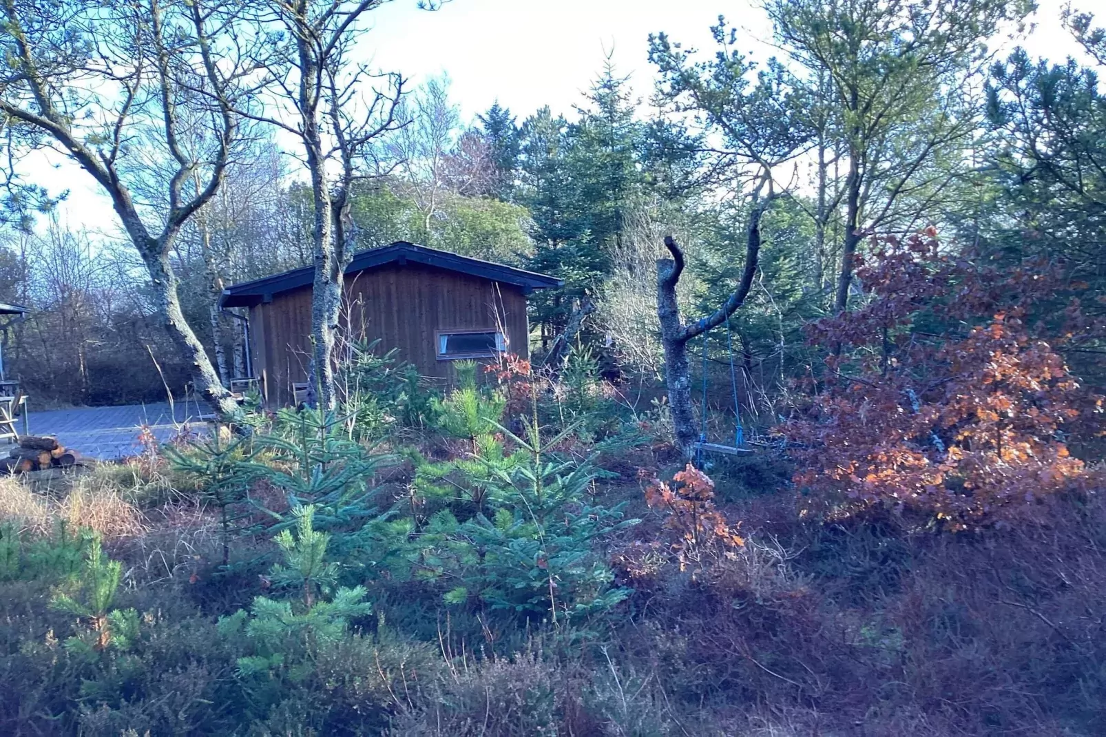 4 sterren vakantie huis in Ålbæk-Buitenlucht