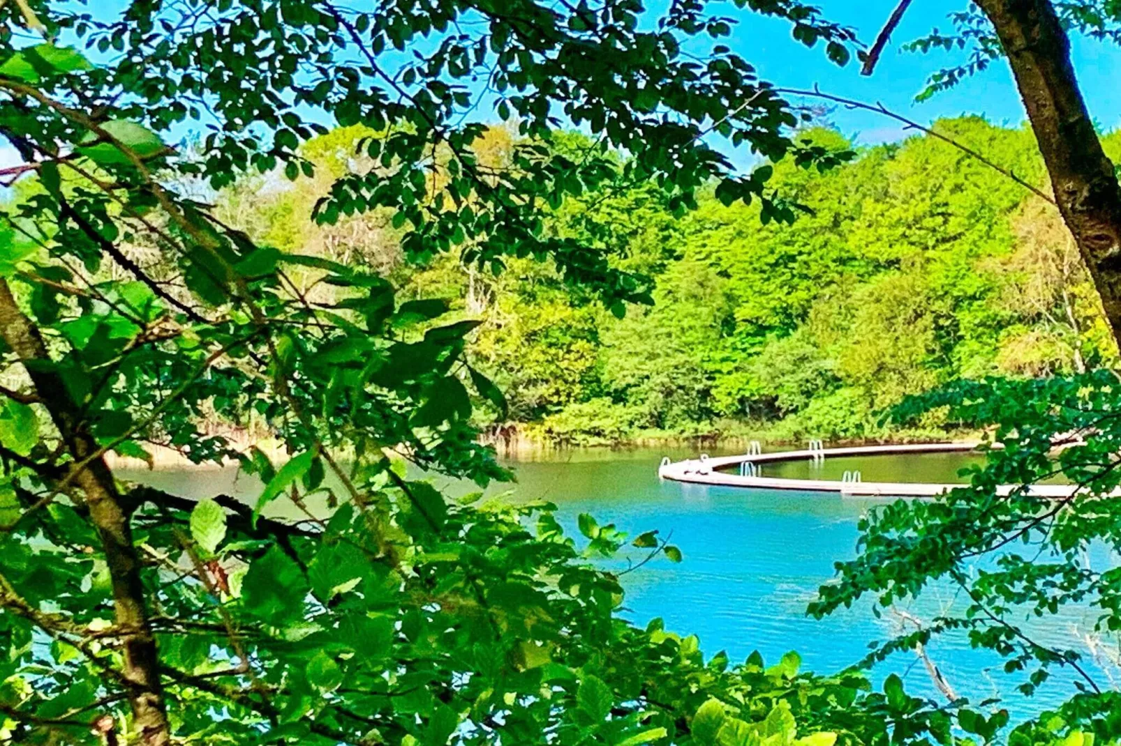 8 persoons vakantie huis in Silkeborg-By Traum-Buitenlucht