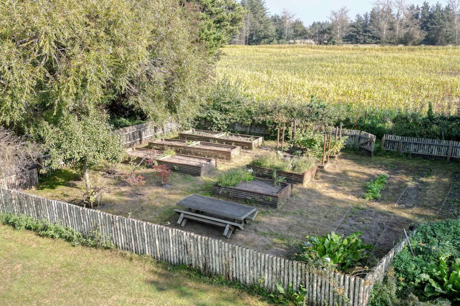 5 sterren vakantie huis in Ålbæk-Buitenlucht