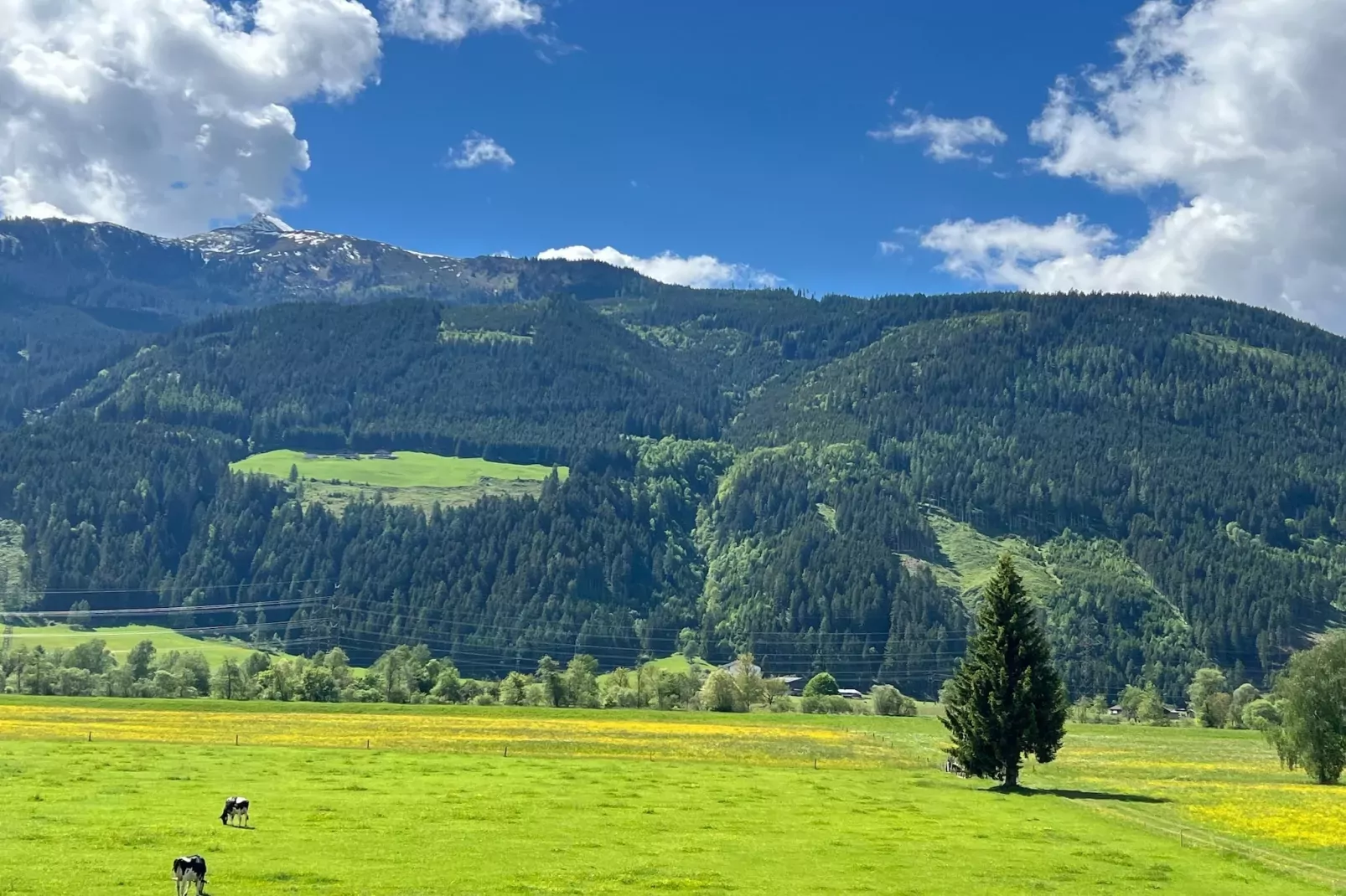 Vakantiehuis vlakbij Kaprun, in Zell am See-Uitzicht zomer