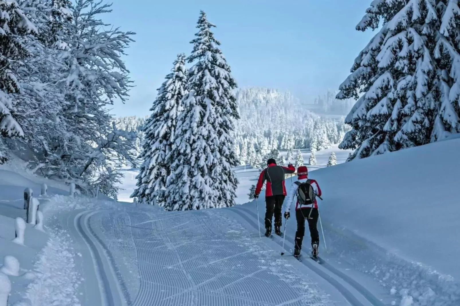 Alpina-Gebieden zomer 20km