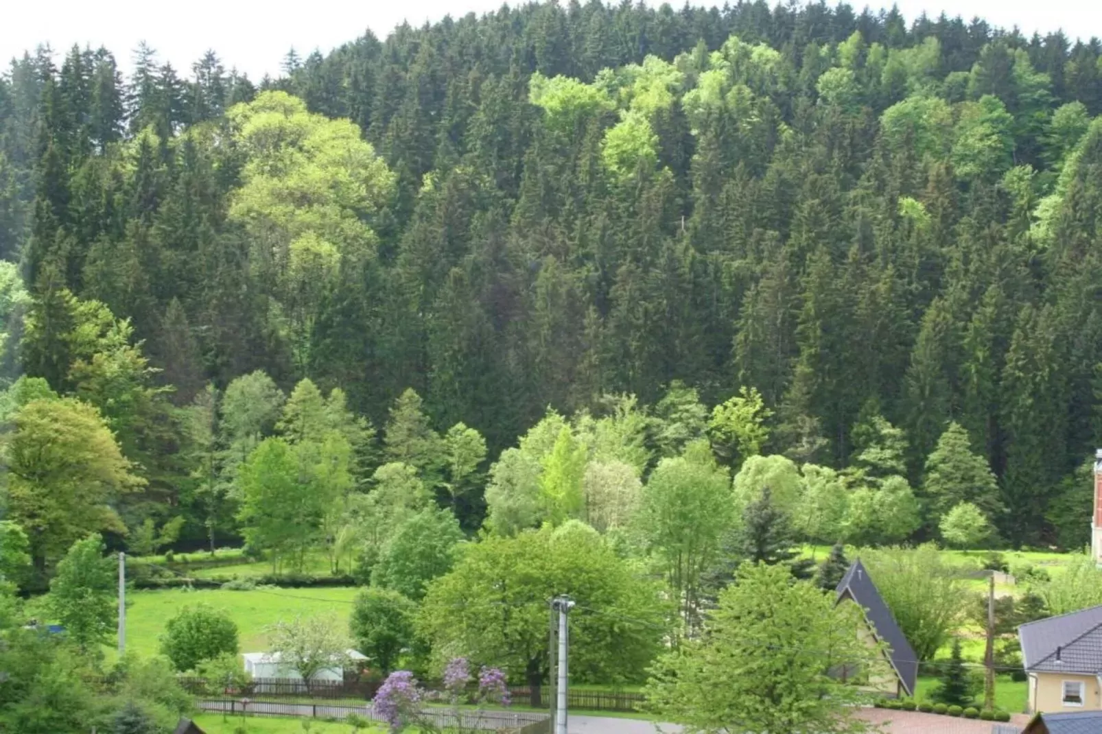 Villa im Erzgebirge-Gebieden zomer 20km