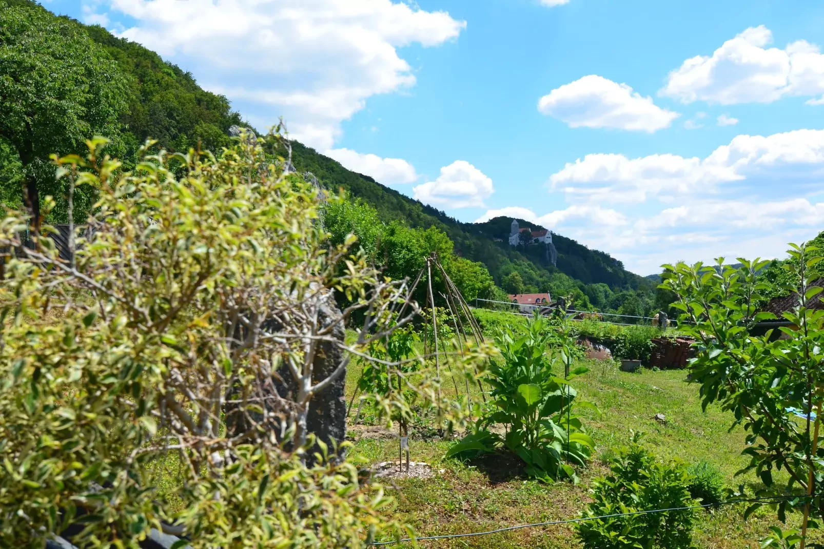 Im Altmühltal-Uitzicht zomer