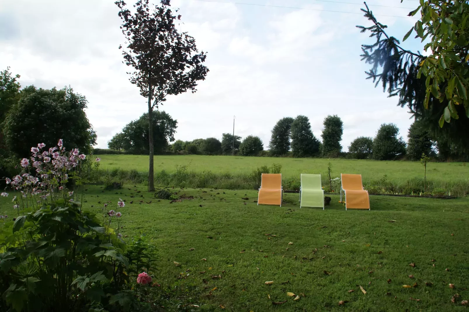 Jolie maison en pays de Rance-Tuinen zomer