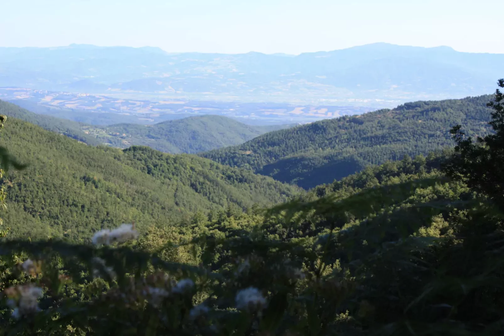 La Terrazza-Gebieden zomer 1km
