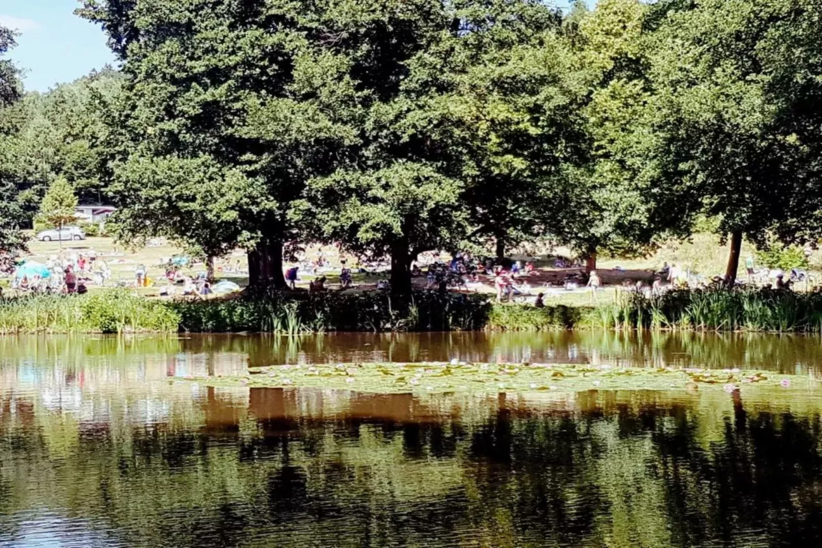 Hohe Rhön-Gebieden zomer 20km