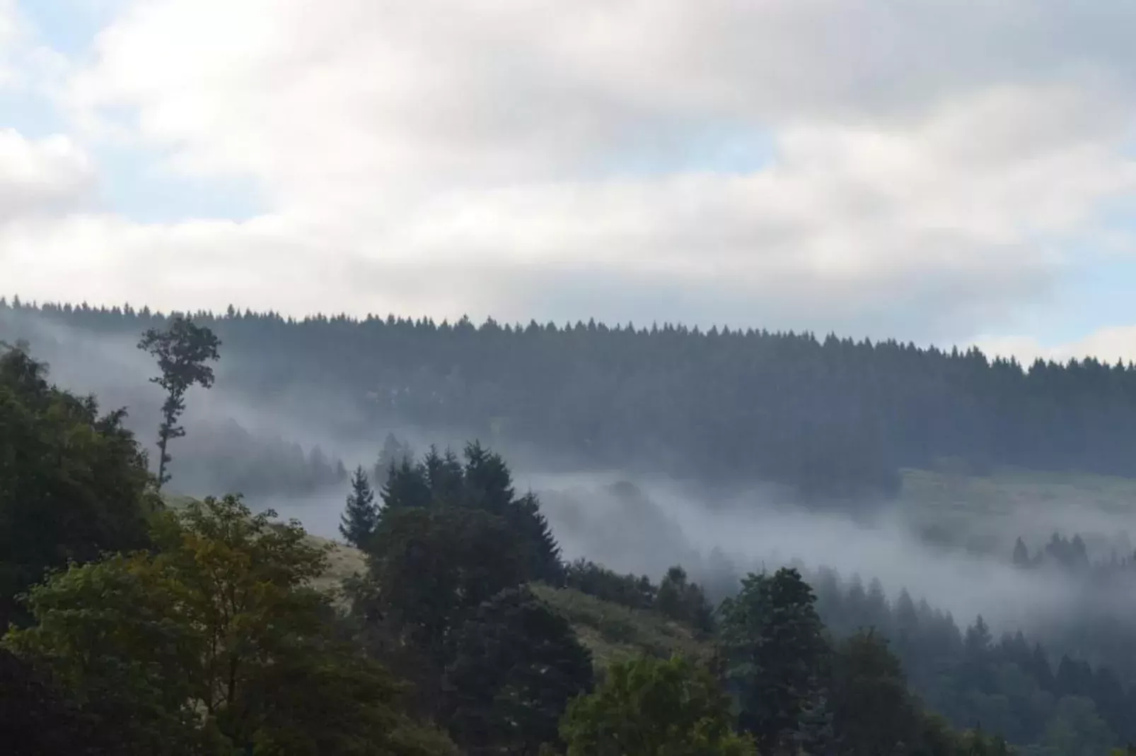 Ferienapartment Romatik in Wildemann Harz-Gebieden zomer 20km