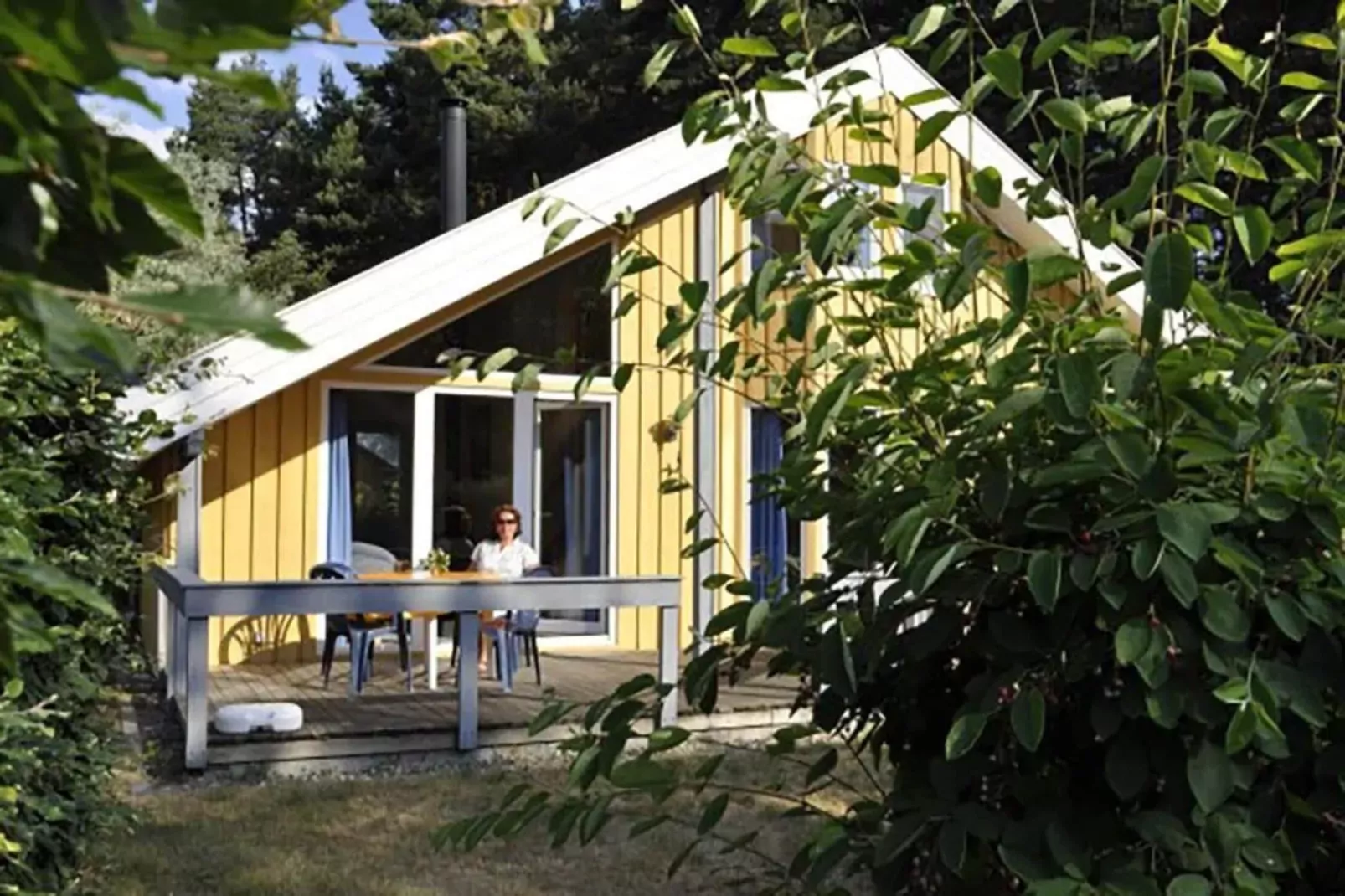 FH Wildgans Comfort Nr 207-Buitenkant zomer