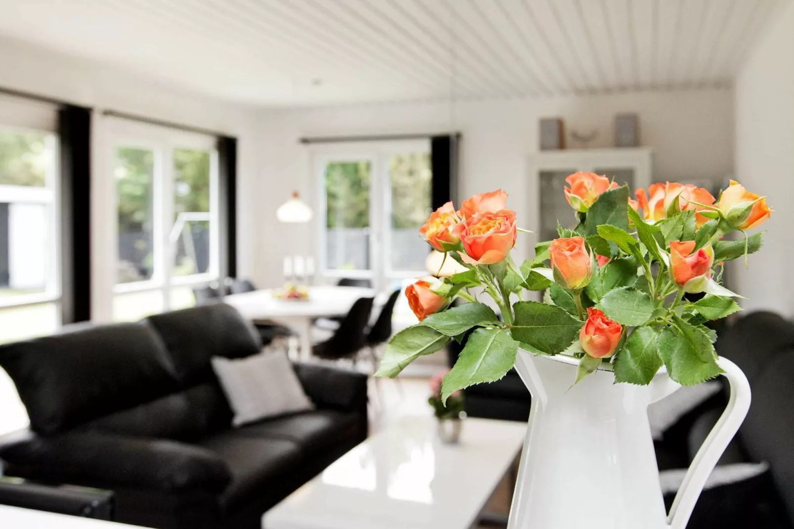 6 persoons vakantie huis in Jerup-Binnen