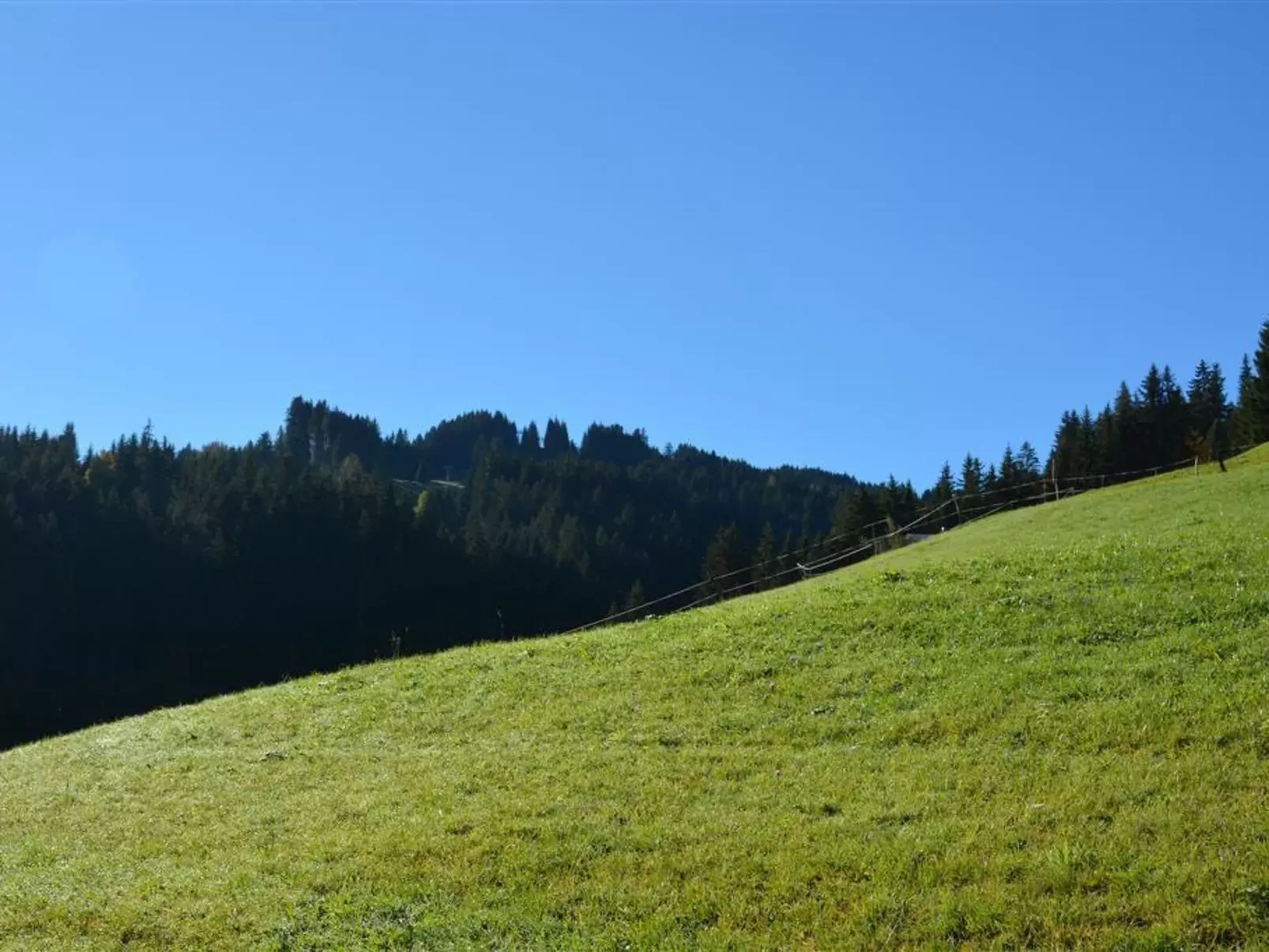 Hornflue (Wohlwender)-Buiten