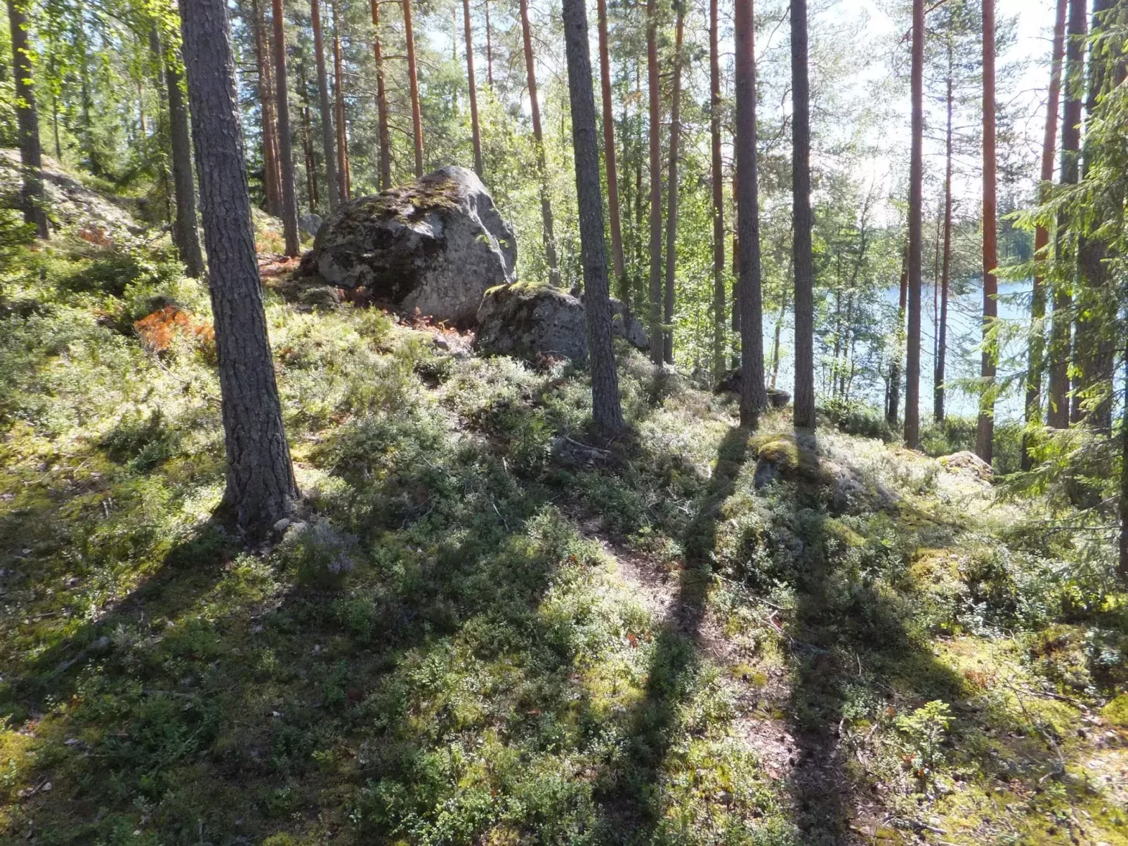 Aili-Buiten