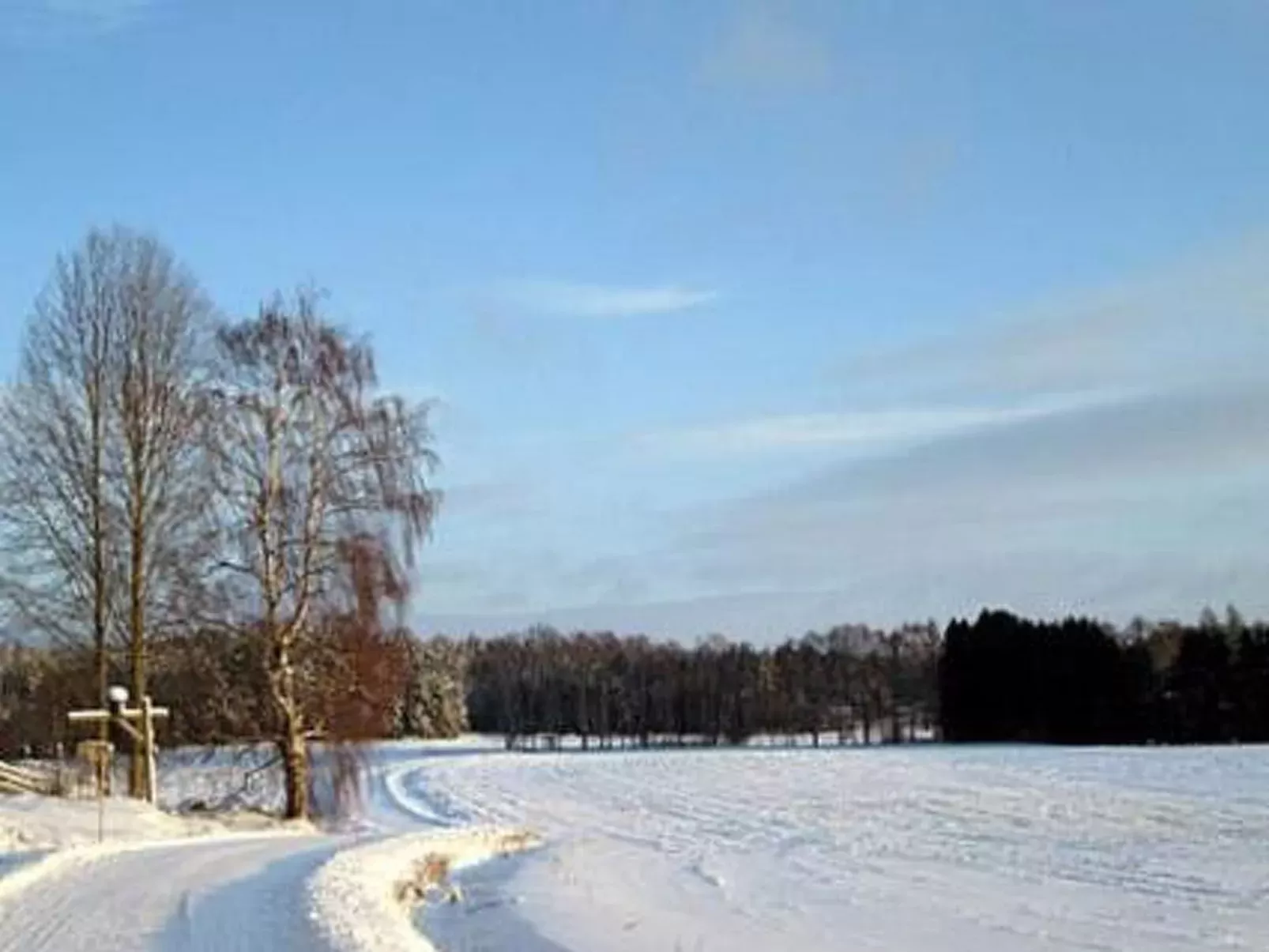 Villa vuorikotka-Buiten