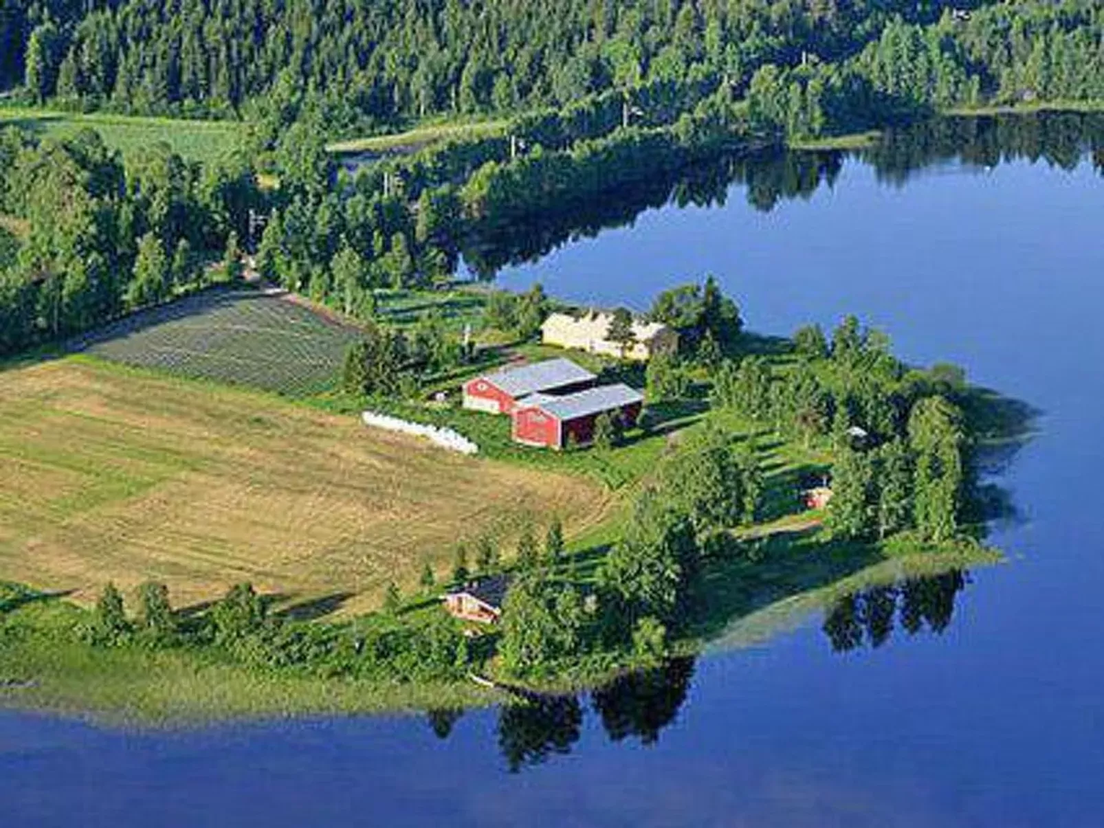 Koivuniemi-Buiten