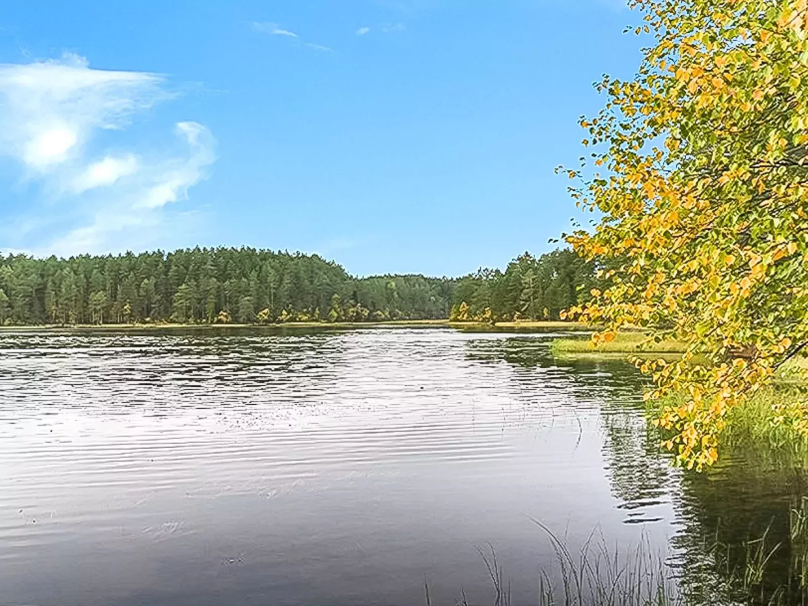Puolukka-Buiten