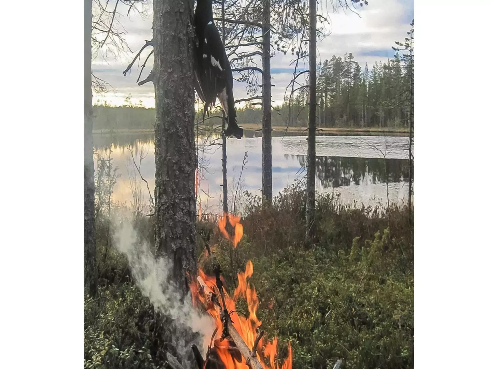 Virsuniemi-Buiten
