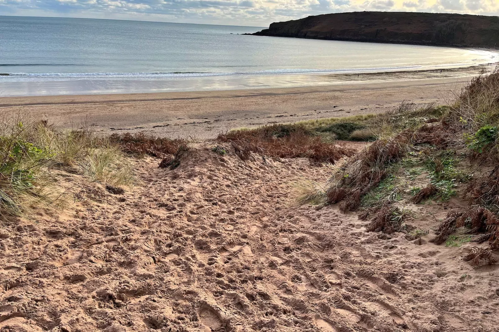 Beach Cove