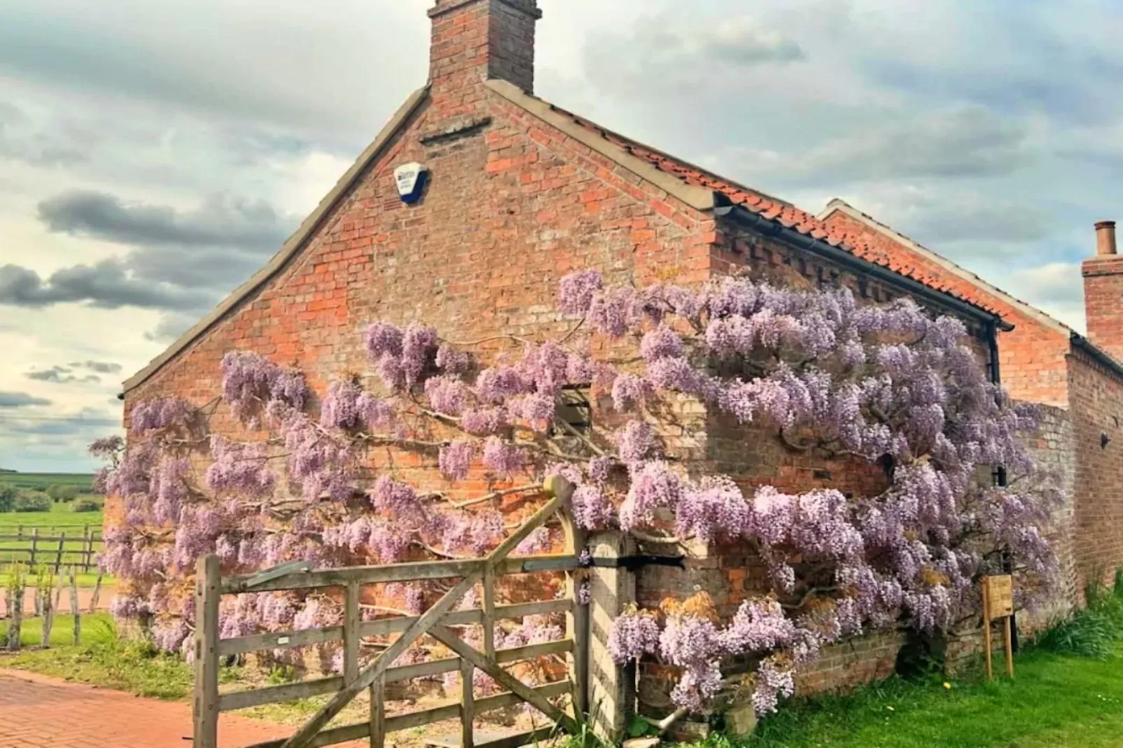 Wisteria at the Rookery-Buitenkant zomer