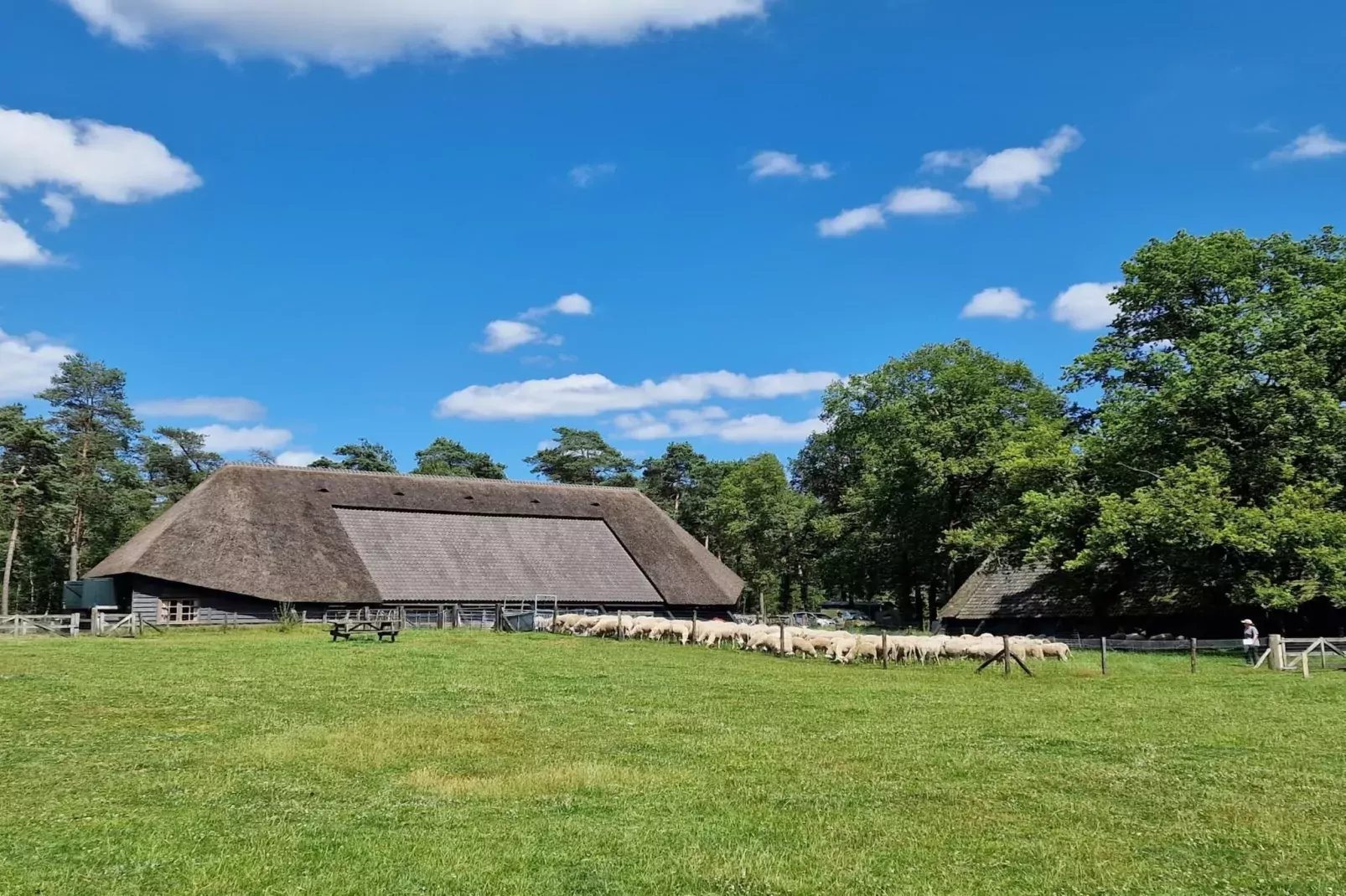 Chalet Edelhert-Gebieden zomer 20km